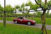 Le Jaguar nella zona del Prosecco e Cartize (84/152)